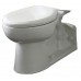 Floor Mount Toilet Bowl - B005JZNOOA